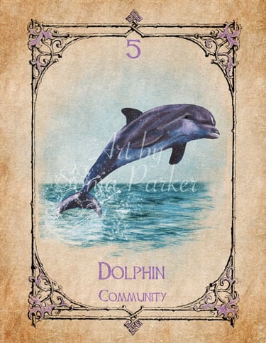 Dolphin card from the animal spirit oracle deck