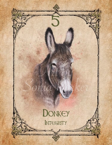 Donkey, a card from the animal spirit oracle deck