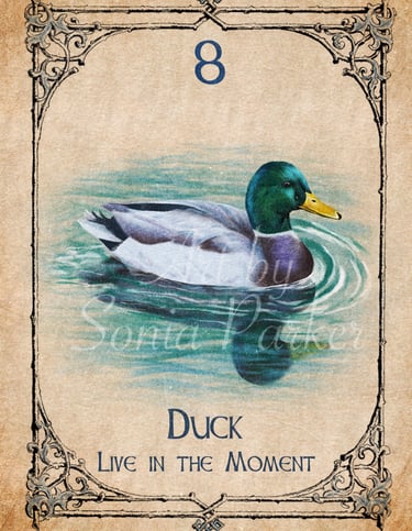 Duck card from the animal spirit oracle deck