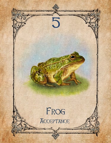 Frog card from the animal spirit oracle deck