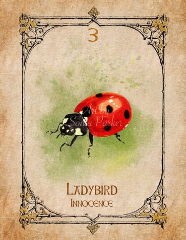 Ladybird, a card from the animal spirit oracle deck