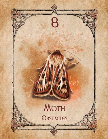Moth card from the animal spirit oracle deck
