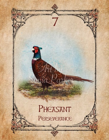 Pheasant card from the animal spirit oracle deck