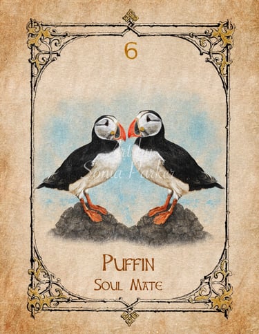 Puffin, a card from the animal spirit oracle deck