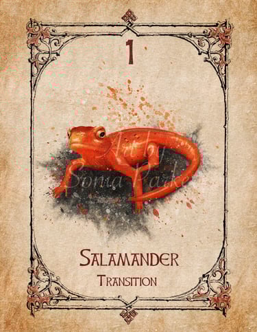 Salamander card from the animal spirit oracle deck