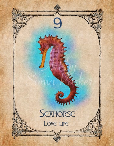 Seahorse card from the animal spirit oracle deck