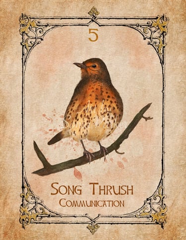 Song Thrush, a card from the animal spirit oracle deck