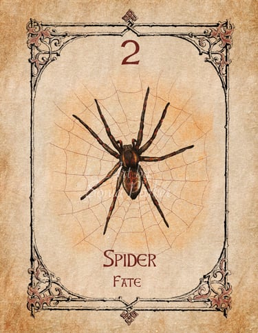 Spider card from the animal spirit oracle deck