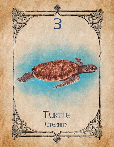 Turtle card from the animal spirit oracle deck
