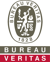 Autonomous ship in class society bureau veritas marine