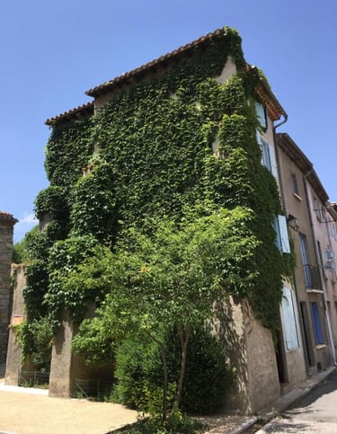 A charming Self catering accommodation ,stone house covered in lush green climbing ivy in Quillan.