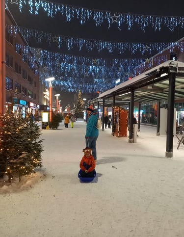 Sleigh through town