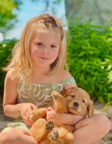 Moment heureux : un enfant et chiots jouant dans un jardin.