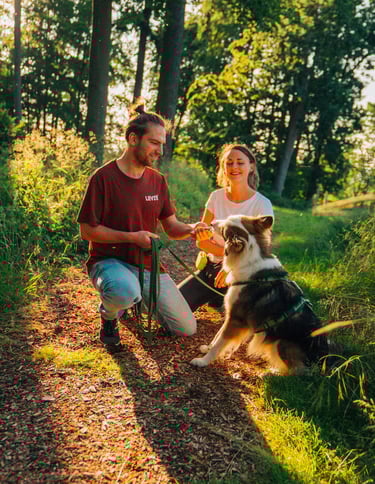 Coaching-Situation: einfühlsame Begleitung von Mensch und Hund bei Takoda