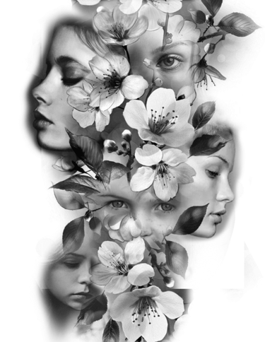 Trauma informed peer mentoring image