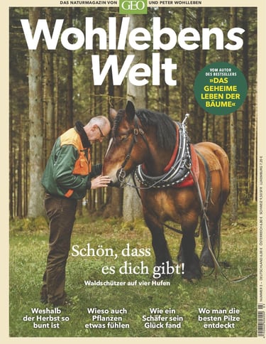 Wohllebens Welt 3/2019 cover