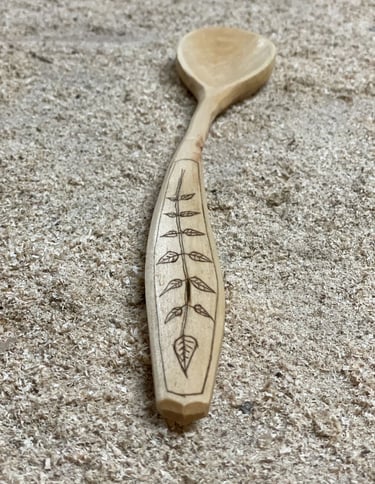 Kolorosing on spoon plant