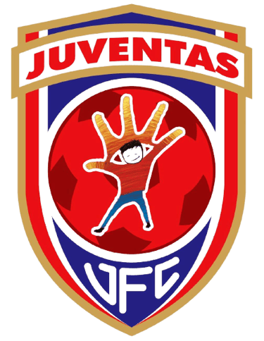 Escudo oficial, creado en 2011