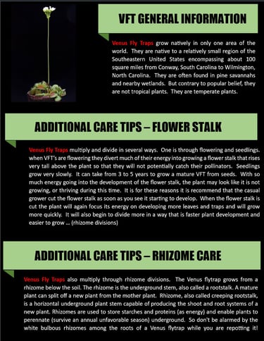 General information and thoughts on what to do with flower stalks.