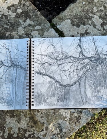 A3 Dixter Diary sketchbook; The Ancient Mulberry