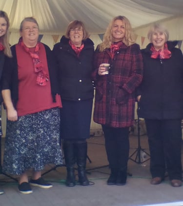 Ukuladies perform at Taurus Crafts Christmas Fair