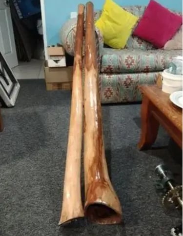 2 didgeridoos leaning on a sofa bed