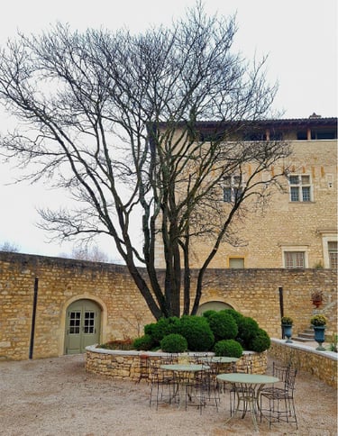 arbre venant d'être élagué