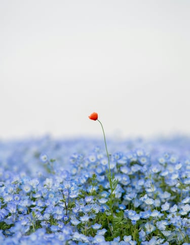 positionnement singulier stratégie de marque