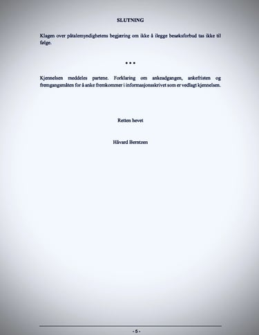 Oslo Police, Oslo Court, Zainab Abdulkarim - Zainab Ali Art, Paintings - Visual artist -Iraq,  Italy - Oslo- Norway