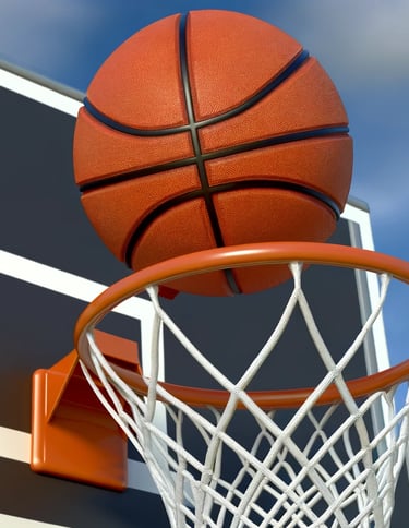 Žalgirio komandos rekomendacija