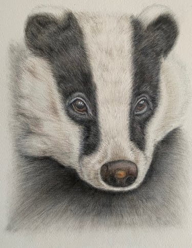 Badger
