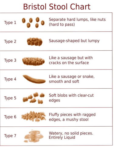 Bristol stool Chart 