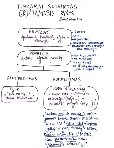 schema kaip teikti grįžtamąjį ryšį 