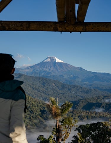 a person standing in front of a mountain