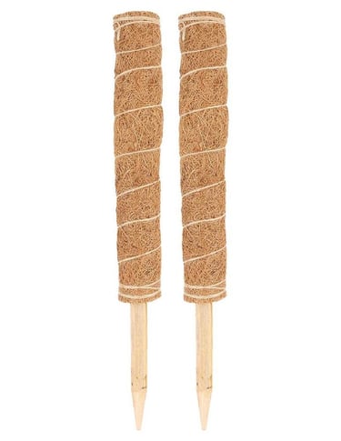 Coco coir moss pole