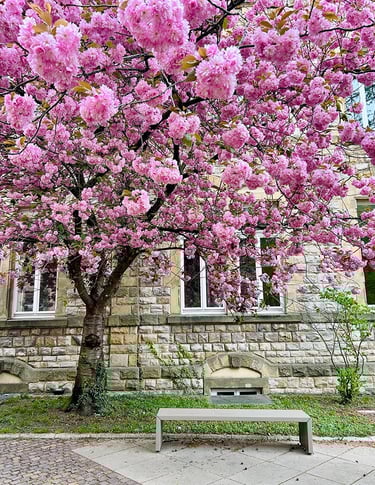 Palais de Justice de Luxembourg ville