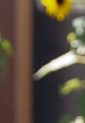 Iveth Balanta holding a leafy plant in her hand