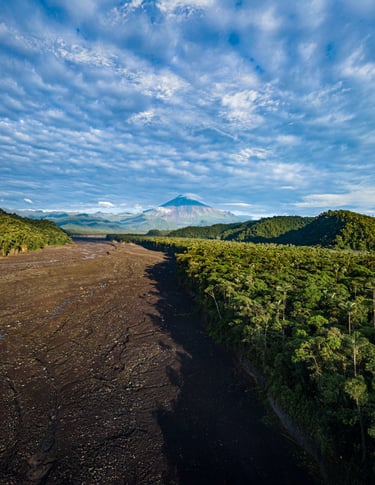 a dirt road with a dirt road and mountains in the background