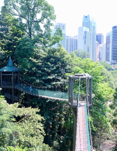 kl forest eco park