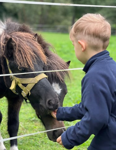 Vaikas maitina ponį Ugdymosi erdvėje ,,Ąžuolynas":