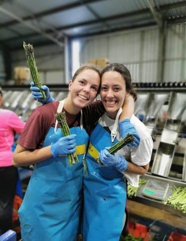 Farm work in Australia
