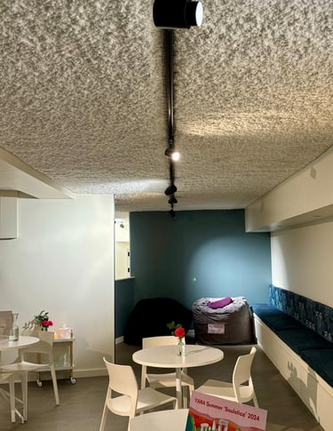 acoustic ceiling spray, tack lighting, bespoke seat cushions