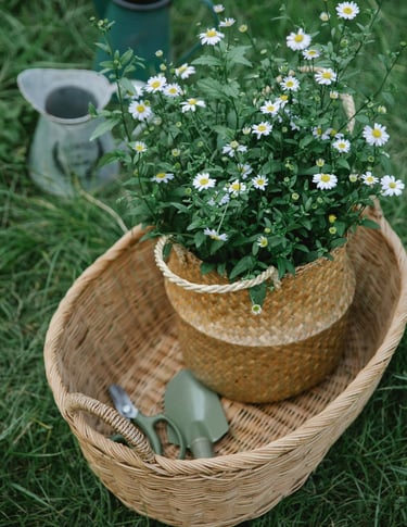 a basket weave basket with forager's tools and daisies