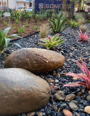 diseño de jardines Cali