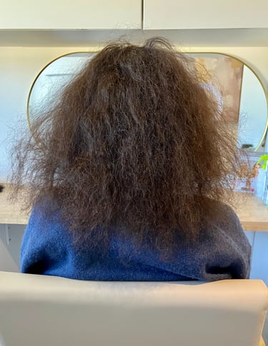 Before Tape Hair Extension Photo