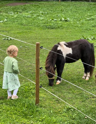 Mergaitė susipažįsta su poniu Ugdymosi erdvėje ,,Ąžuolynas"