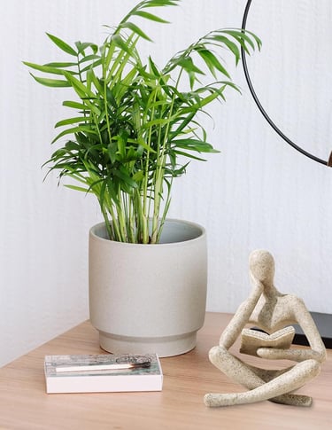 Abstract thinker reading statue, modern sculpture for living room shelf decor, and minimalist home decoration.