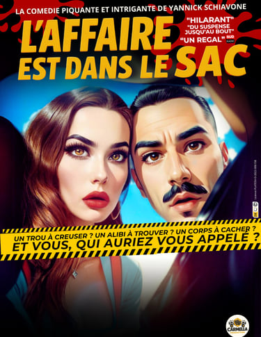 affiche spectacle l'affaire est dans le sac