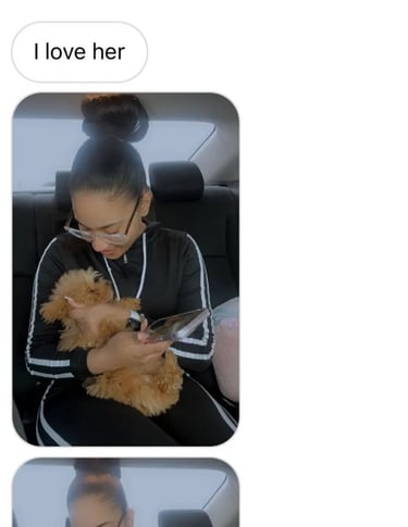Maltipoo Puppies for Sale