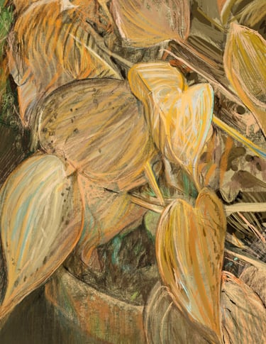 Translucent death defying amber hostas